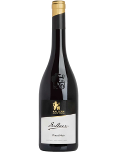Red Wines - Alto Adige Pinot Noir DOC Reserve 'Saltner' 2020 (750 ml.) - Cantina di Caldaro Kaltern - Kaltern Cantina di Caldaro