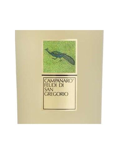 Fiano di Avellino Riserva DOCG 'Campanaro' 2021 (750 ml.) Feudi di San Gregorio Feudi di San Gregorio - 2