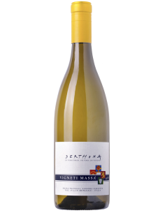 White Wines - Derthona 2021 (750 ml.) - Vigneti Massa - Vigneti Massa - 1