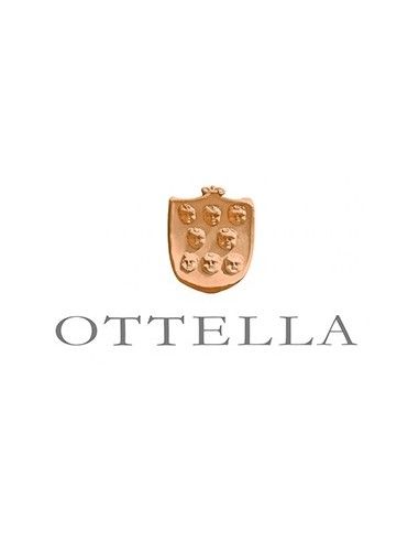 Lugana Riserva DOC 'Molceo' 2020 (750 ml.) Ottella Ottella - 3