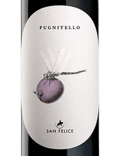 Toscana IGT Pugnitello 2020 (750 ml.) San Felice San Felice - 1 2
