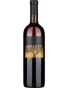 Orange Wine - Venezia Giulia Ribolla Gialla IGT 2015 (750 ml.) - Gravner - Gravner - 1