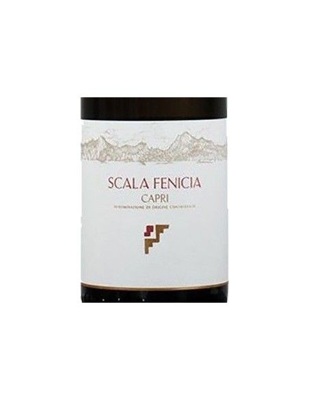 Capri Bianco DOC 2020 (750 ml.) Scala Fenicia Scala Fenicia - 2