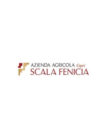 Capri Bianco DOC 2020 (750 ml.) Scala Fenicia Scala Fenicia - 3