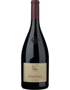 Red Wines - Alto Adige Pinot Noir 2022 (750 ml.) - Terlano - Terlan - 1