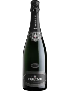 Trentodoc Riserva Brut 'Perle' Nero' 2016 (Magnum 1,5 L astucciato) Ferrari Ferrari - 1 2