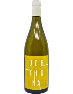 White Wines - Colli Tortonesi DOC Timorasso 'Derthona' 2021 (750 ml.) - Oddero - Oddero - 1