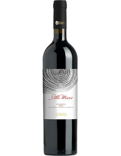 Red Wines - Campania Aglianico IGP 'Stilla Maris' 2012 (750 ml.) - Tenuta Scuotto - Tenuta Scuotto - 1