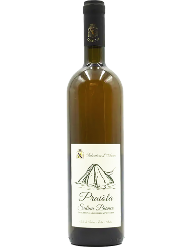 White Wines - Salina Bianco IGT 'Praiola' 2013 (750 ml) - Salvatore d'Amico - Salvatore d'Amico - 1
