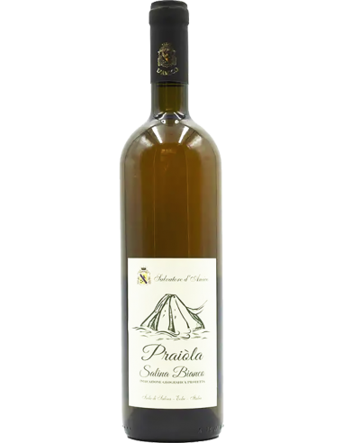 Salina Bianco IGT 'Praiola' 2013 (750 ml) - Salvatore d'Amico Salvatore d'Amico - 1