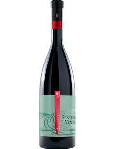 Vini Bianchi - Terre Siciliane IGT 'Sentiero del Vento' 2022 (750 ml.) - Duca di Salaparuta - Duca di Salaparuta - 1