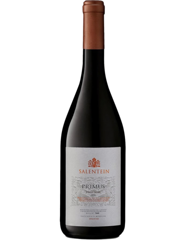 Vini Rossi - Pinot Nero 'Primus' 2018 (750 ml.) - Salentein - Salentein - 1
