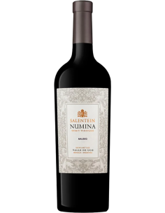 Red Wines - Malbec 'Numina' 2020 (750 ml.) - Salentein - Salentein - 1