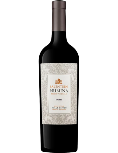 Red Wines - Malbec 'Numina' 2020 (750 ml.) - Salentein - Salentein - 1