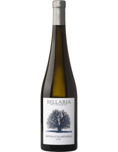 White Wines - Irpinia DOC Falanghina 2021 (750 ml.) - Bellaria - Bellaria - 1