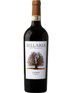 Red Wines - Taurasi DOCG 2014 (750 ml.) - Bellaria - Bellaria - 1