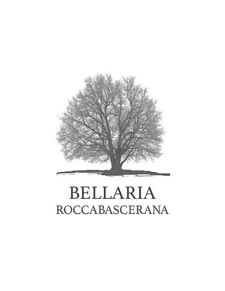 Irpinia DOCG Aglianico 2019 (750 ml.) Bellaria Bellaria - 3