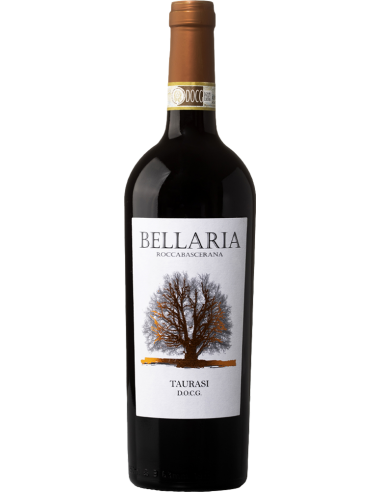 Irpinia Aglianico DOCG 2019 (750 ml.) Bellaria Bellaria - 1