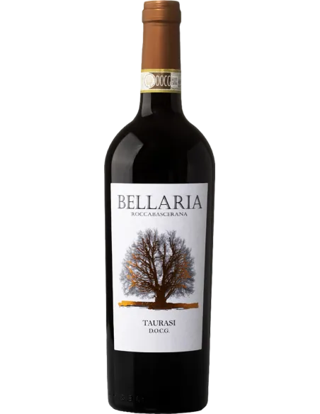 Irpinia DOCG Aglianico 2019 (750 ml.) Bellaria Bellaria - 1