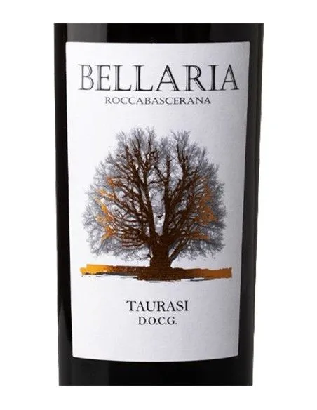 Irpinia DOCG Aglianico 2019 (750 ml.) Bellaria Bellaria - 2