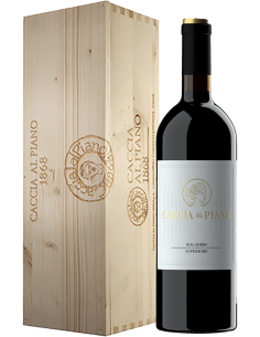 Red Wines - Bolgheri Superiore DOC 'Caccia al Piano' 2019 (Magnum 1,5 L wooden box) - Caccia al Piano - Caccia al Piano - 1