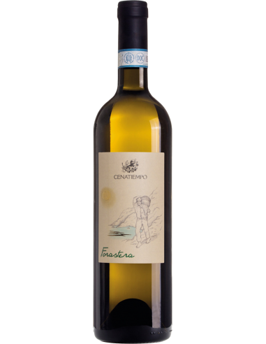 Vini Bianchi - Ischia DOC Forastera 2019 (750 ml.) - Cenatiempo - Cenatiempo - 1