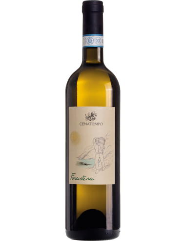 White Wines - Ischia DOC Forastera 2019 (750 ml.) - Cenatiempo - Cenatiempo - 1