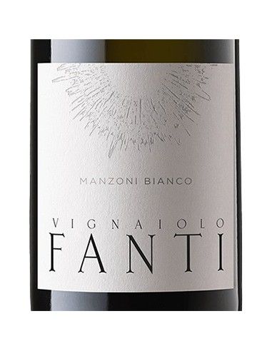 Trentino Manzoni Bianco DOC 2020 (750 ml.) Vignaiolo Fanti Vignaiolo Fanti - 2