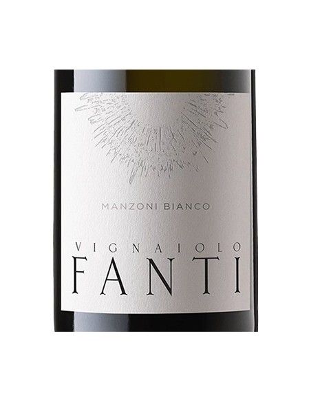Trentino Manzoni Bianco DOC 2020 (750 ml.) Vignaiolo Fanti Vignaiolo Fanti - 2