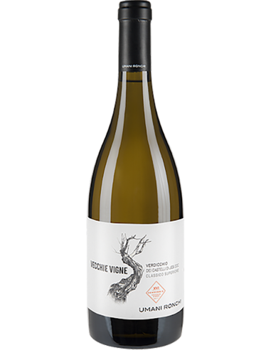 Verdicchio dei Castelli di Jesi Superiore DOC 'Vecchie Vigne' 2021 (750 ml.) Umani Ronchi Umani Ronchi - 1