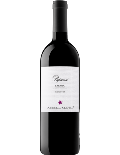 Red Wines - Barolo DOCG Ginestra 'Pajana' 2019 (750 ml.) - Domenico Clerico - Domenico Clerico - 1