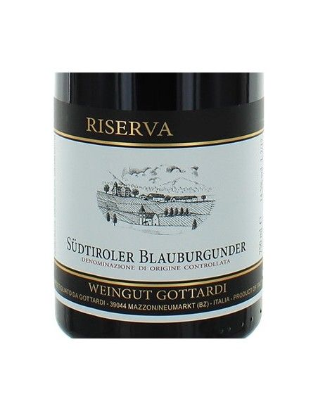 Alto Adige Riserva DOC Pinot Noir 'Mazzon' 2019 (750 ml.) Gottardi Gottardi - 2