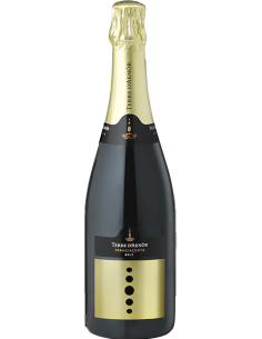 Sparkling Wines - Franciacorta DOCG Brut Bio (750 ml.) - Terre d'Aenor - Terre d'Aenor - 1