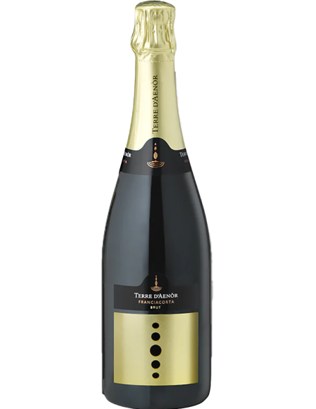 Franciacorta DOCG Brut Organic (750 ml.) Terre d'Aenor Terre d'Aenor - 1
