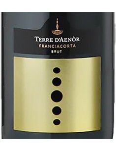 Franciacorta DOCG Brut Bio (750 ml.) Terre d'Aenor Terre d'Aenor - 1 2