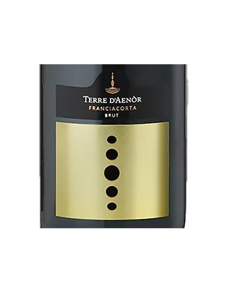 Franciacorta DOCG Brut Organic (750 ml.) Terre d'Aenor Terre d'Aenor - 2