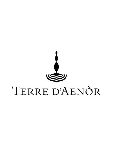 Franciacorta DOCG Extra Brut Bio Jahrgang 2019 (750 ml.) Terre d'Aenor Terre d'Aenor - 3