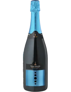 Franciacorta DOCG Extra Brut Bio Jahrgang 2019 (750 ml.) Terre d'Aenor Terre d'Aenor - 1