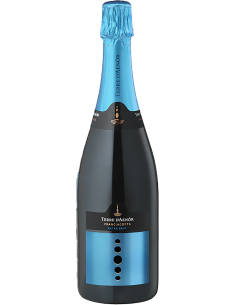 Vini Spumanti - Franciacorta DOCG Extra Brut Bio Millesimato 2019 (750 ml.) - Terre d'Aenor - Terre d'Aenor - 1