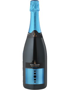 Sparkling Wines - Franciacorta DOCG Extra Brut Bio Vintage 2019 (750 ml.) - Terre d'Aenor - Terre d'Aenor - 1