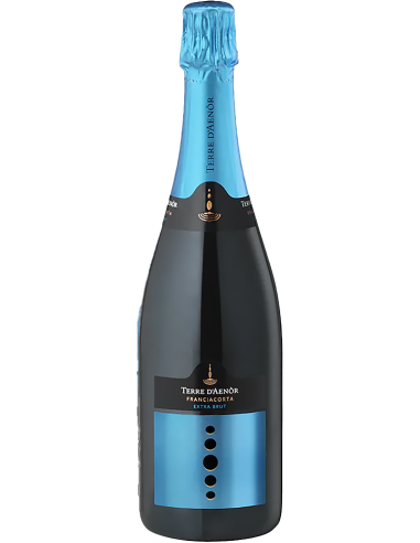 Vini Spumanti - Franciacorta DOCG Extra Brut Bio Millesimato 2019 (750 ml.) - Terre d'Aenor - Terre d'Aenor - 1