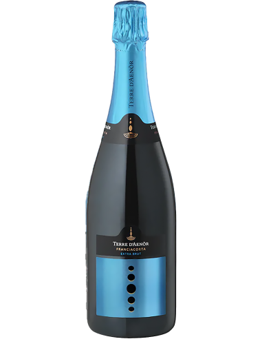 Sparkling Wines - Franciacorta DOCG Extra Brut Bio Vintage 2019 (750 ml.) - Terre d'Aenor - Terre d'Aenor - 1