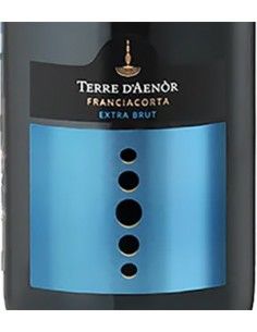 Franciacorta DOCG Extra Brut Bio Millesime 2019 (750 ml.) Terre d'Aenor Terre d'Aenor - 1 2