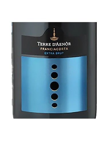 Franciacorta DOCG Extra Brut Organic Vintage 2019 (750 ml.) Terre d'Aenor Terre d'Aenor - 2