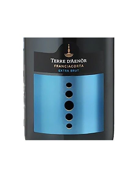 Franciacorta DOCG Extra Brut Bio Jahrgang 2019 (750 ml.) Terre d'Aenor Terre d'Aenor - 2