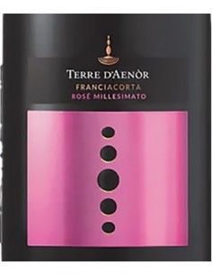 Franciacorta DOCG Extra Brut Rose' Organic Vintage 2019 (750 ml.) Terre d'Aenor Terre d'Aenor - 1 2