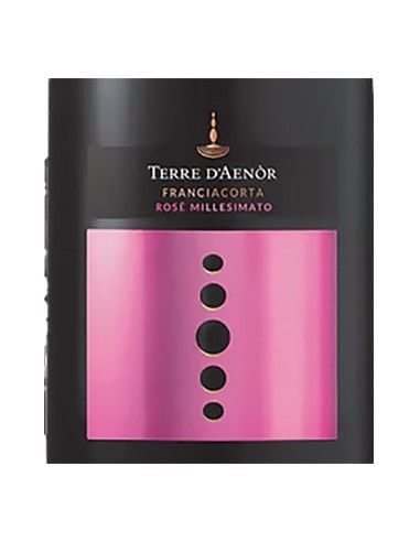 Franciacorta DOCG Extra Brut Rose' Bio Millesimato 2019 (750 ml.) Terre d'Aenor Terre d'Aenor - 2