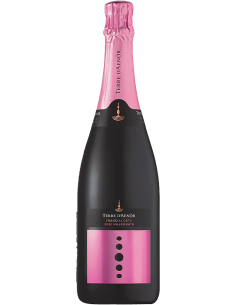 Sparkling Wines - Franciacorta DOCG Extra Brut Bio Rose' Vintage 2019 (750 ml.) - Terre d'Aenor - Terre d'Aenor - 1