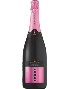 Franciacorta DOCG Rose' Extra Brut Bio Jahrgang 2019 (750 ml.) Terre d'Aenor Terre d'Aenor - 1