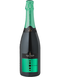 Sparkling Wines - Franciacorta DOCG Saten Brut Bio 'Ricciolina' (750 ml.) - Terre d'Aenor - Terre d'Aenor - 1